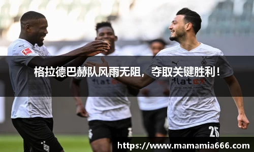 格拉德巴赫队风雨无阻，夺取关键胜利！