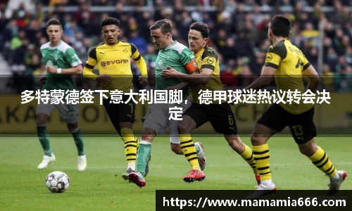多特蒙德签下意大利国脚，德甲球迷热议转会决定
