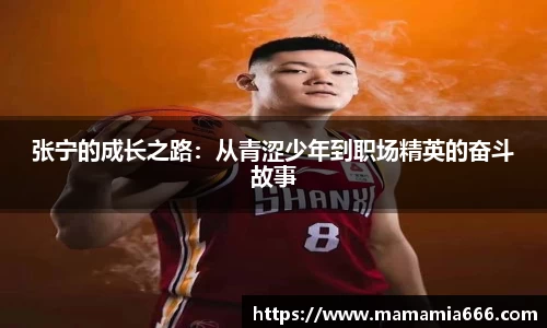 365完美体育官方网站