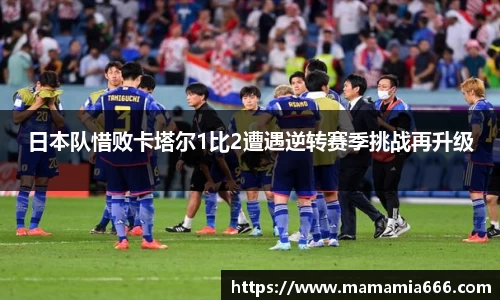 365完美体育官方网站