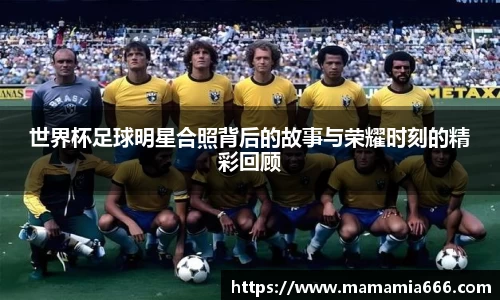 完美体育365官方网站